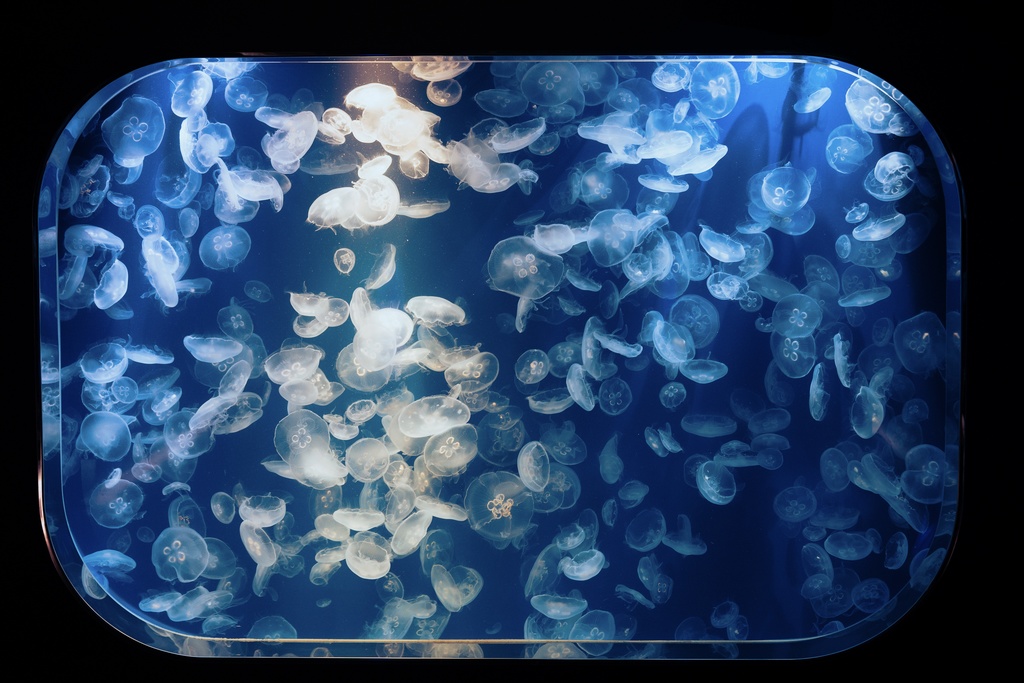 TRPG背景画像集【夏】180枚