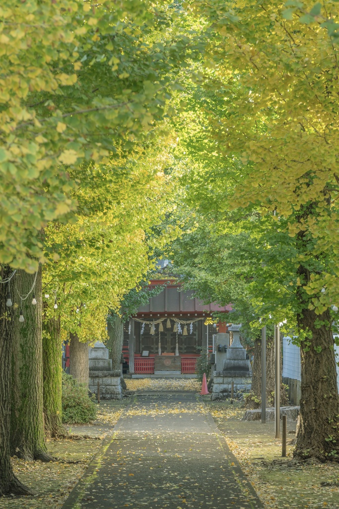 TRPG背景素材集【秋冬】68枚