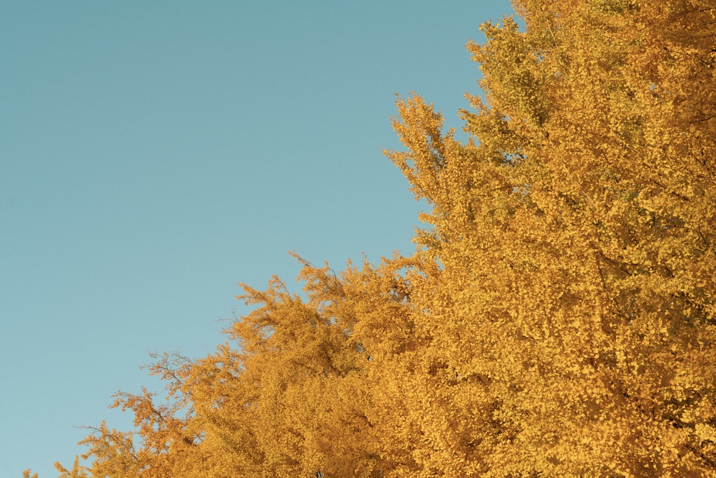 TRPG背景素材集【秋冬】68枚