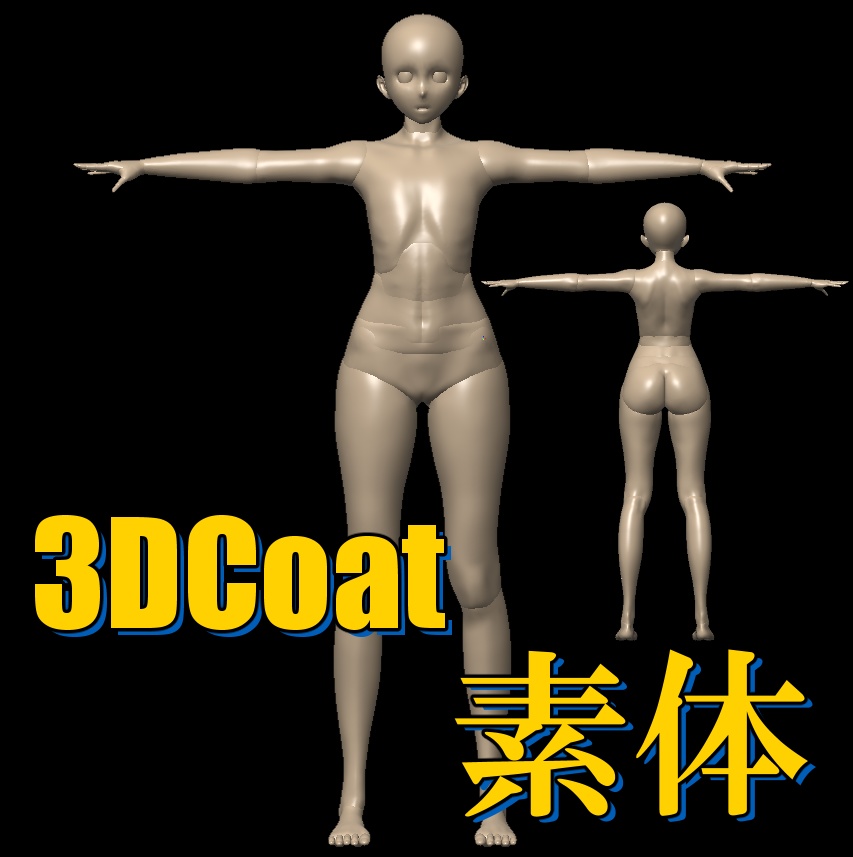 3DCoat素体