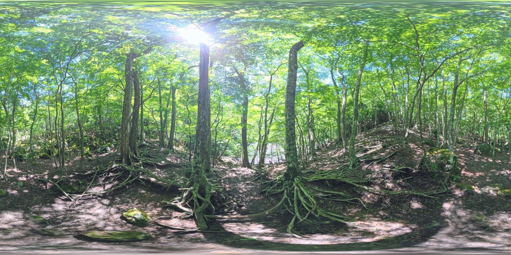 【12K Free】360° VR パノラマ背景素材 8景(新緑・苔・巨木)VRプレビュー有 / 12K Forest Nature Background Pack