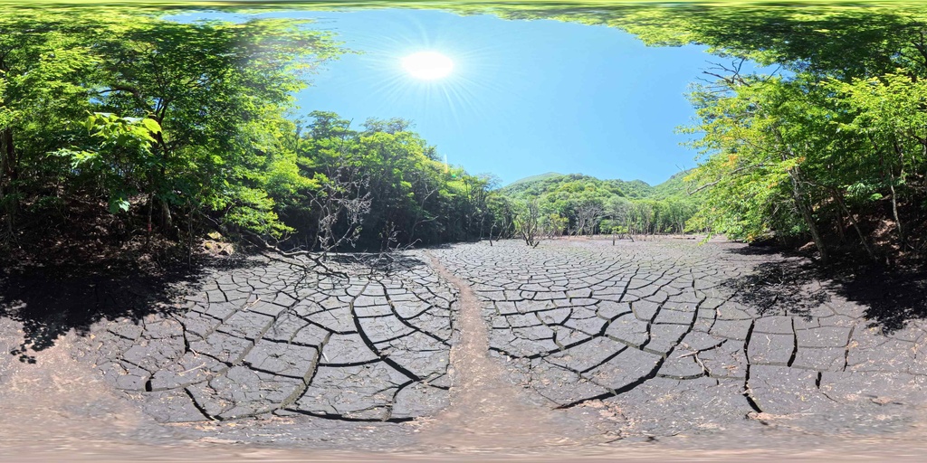 【12K Free】360° VR パノラマ背景素材 8景(新緑・苔・巨木)VRプレビュー有 / 12K Forest Nature Background Pack