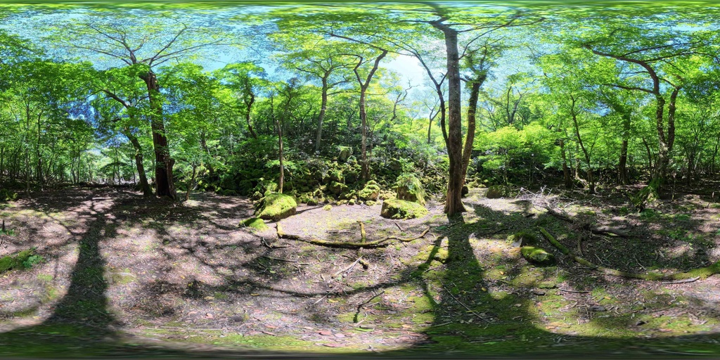 【12K Free】360° VR パノラマ背景素材 8景(新緑・苔・巨木)VRプレビュー有 / 12K Forest Nature Background Pack