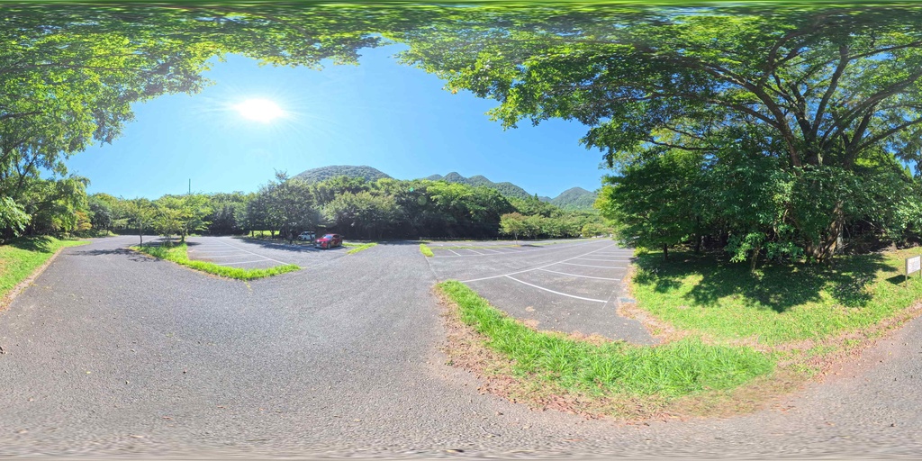 【12K Free】360° VR パノラマ背景素材 8景(新緑・苔・巨木)VRプレビュー有 / 12K Forest Nature Background Pack