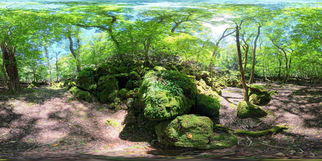 【12K Free】360° VR パノラマ背景素材 8景（新緑・苔・巨木）VRプレビュー有 / 12K Forest Nature Background Pack