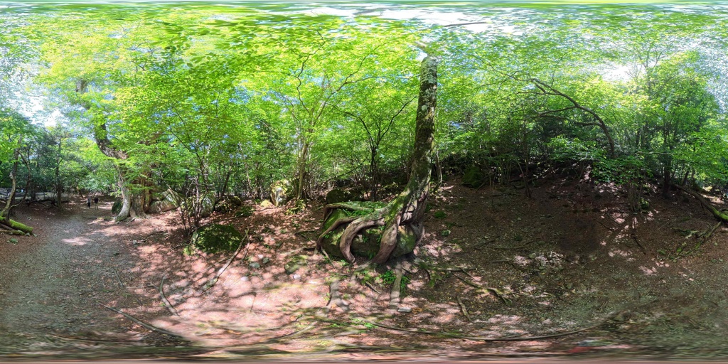 【12K Free】360° VR パノラマ背景素材 8景(新緑・苔・巨木)VRプレビュー有 / 12K Forest Nature Background Pack