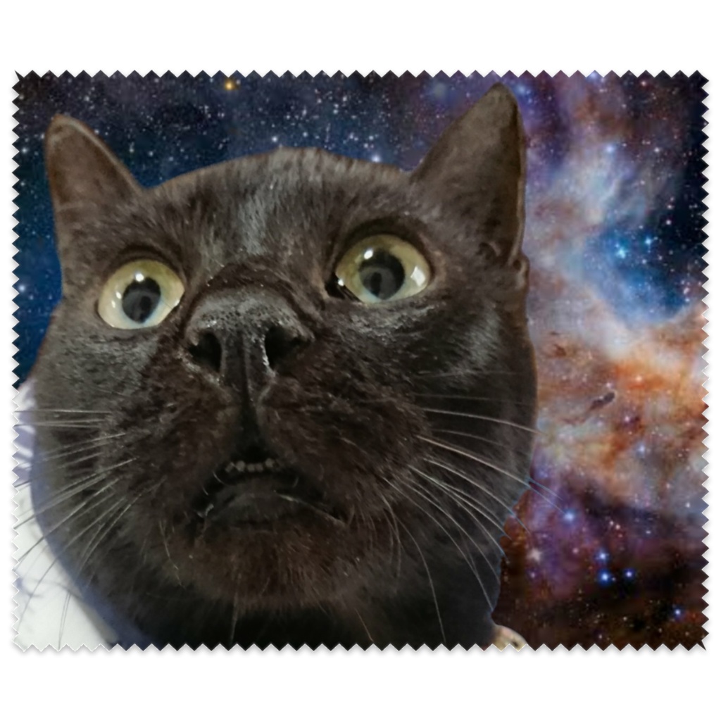 薄汚い猫拭き(リアル)