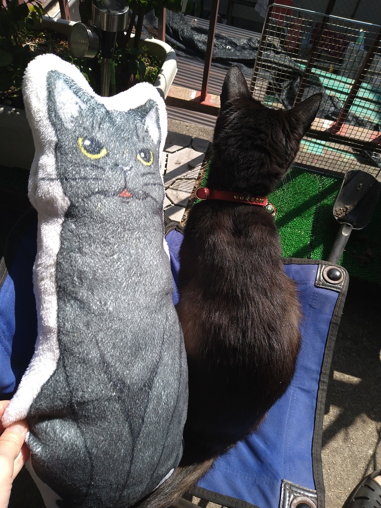 おでいとおやすみ