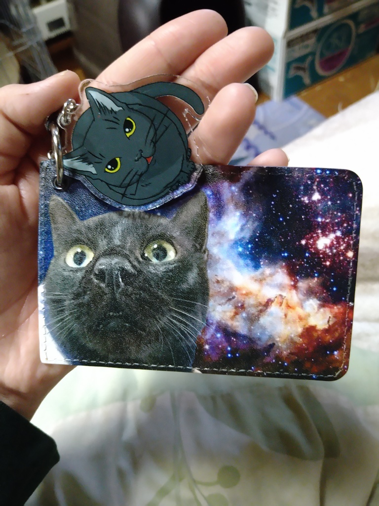 薄汚いパスケース(リアル)