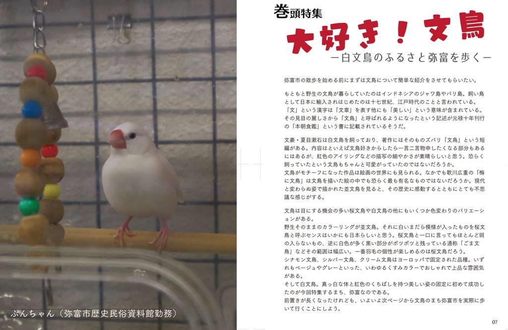 カカさんポ2026春 -鳥好きがゆく愛知・三重-