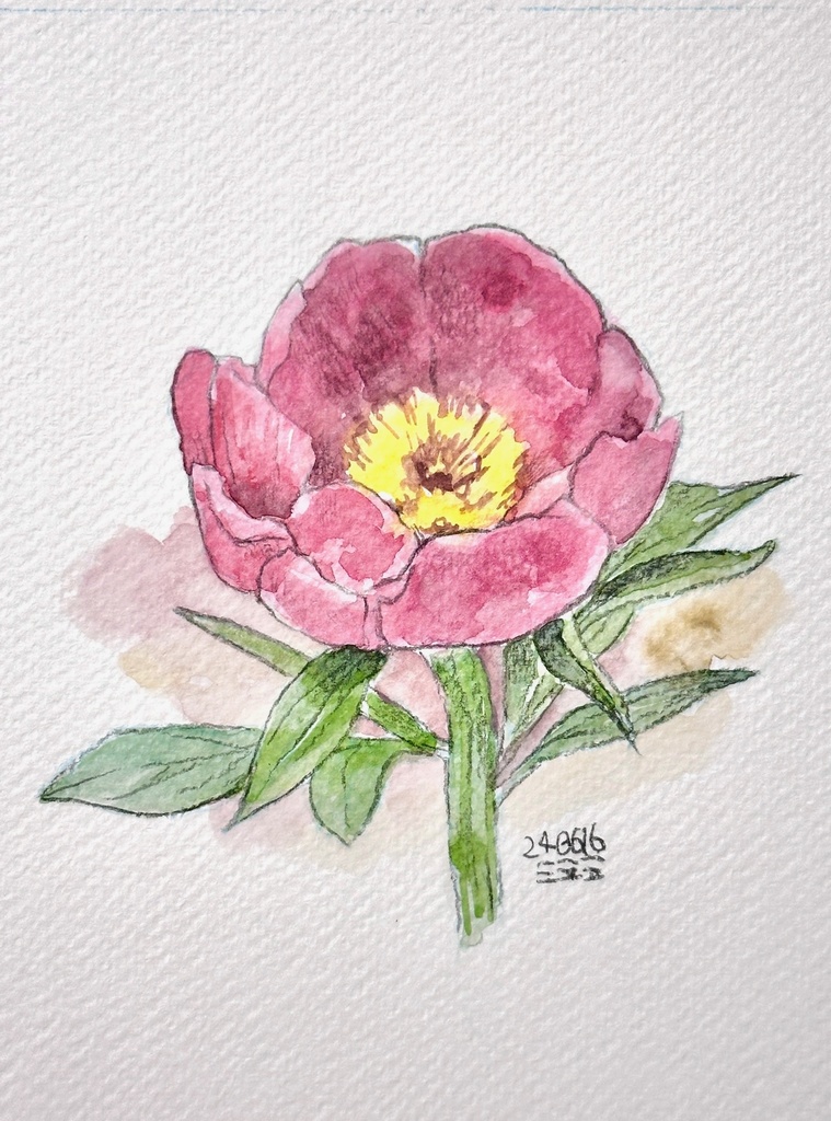 花 水彩スケッチ 原画 2Lサイズ