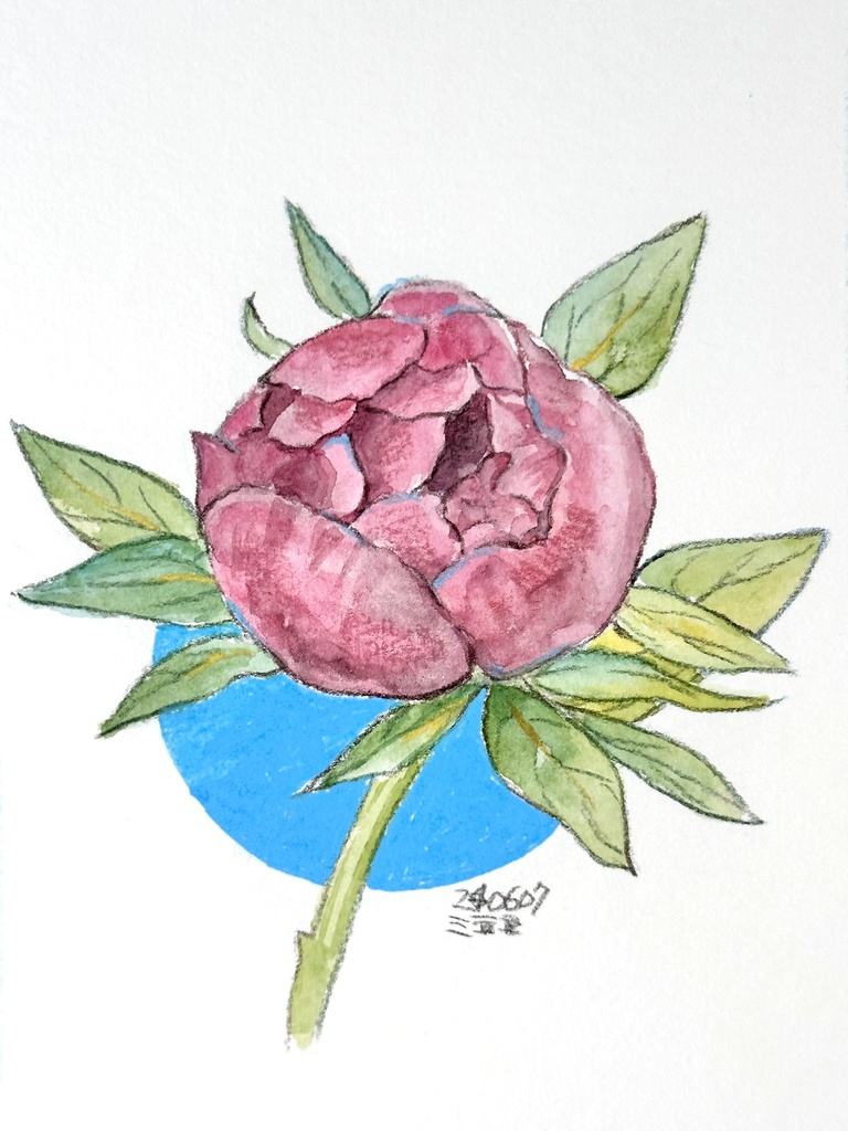 花 水彩スケッチ 原画 ハガキサイズ