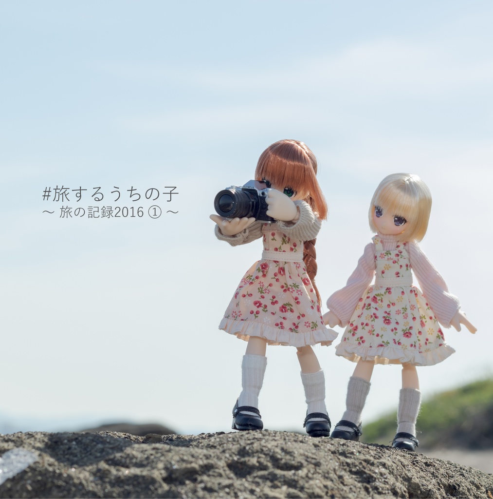 #旅するうちの子 ～旅の記録2016①～