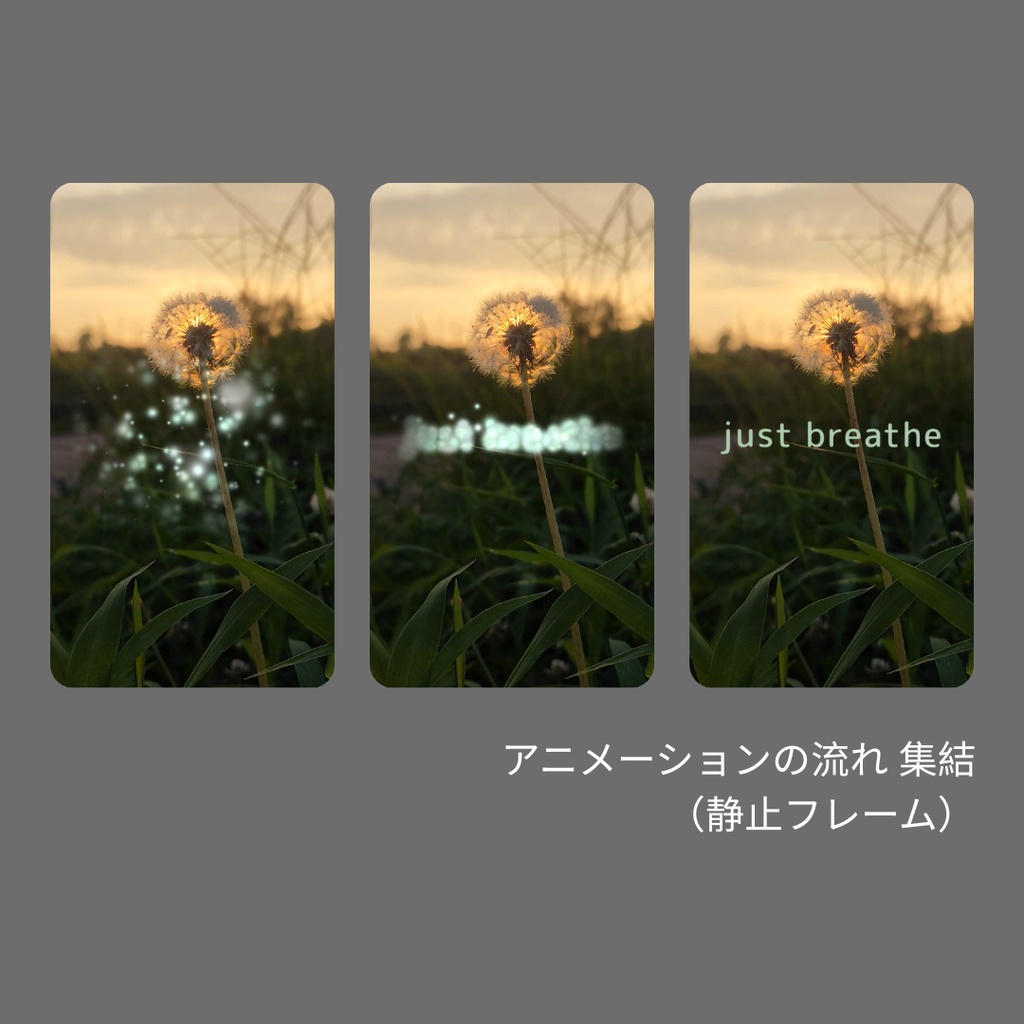 静かな一瞬を切り取る、英語フレーズのテキストアニメ素材集 Particle Gather Hook Text – Aesthetic Edition
