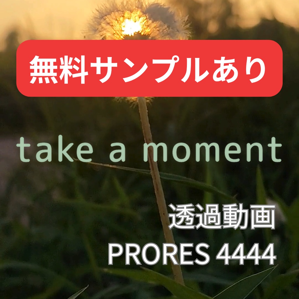 静かな一瞬を切り取る、英語フレーズのテキストアニメ素材集 Particle Gather Hook Text – Aesthetic Edition