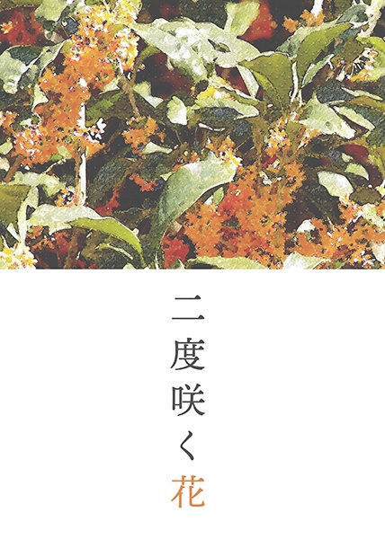 【くにちょぎ】ニ度咲く花