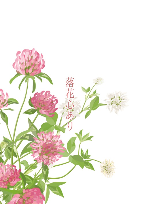 【啄白】落花心あり