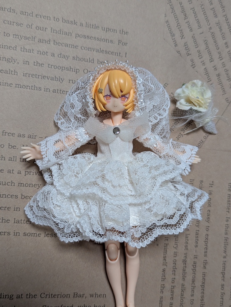 １点物　ウェディングドレスセット　美プラ　布服