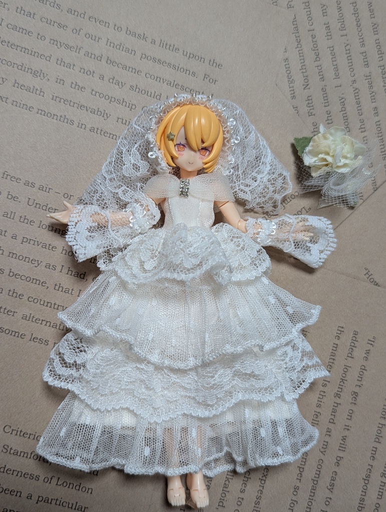 １点物　ウェディングドレスセット　美プラ　布服