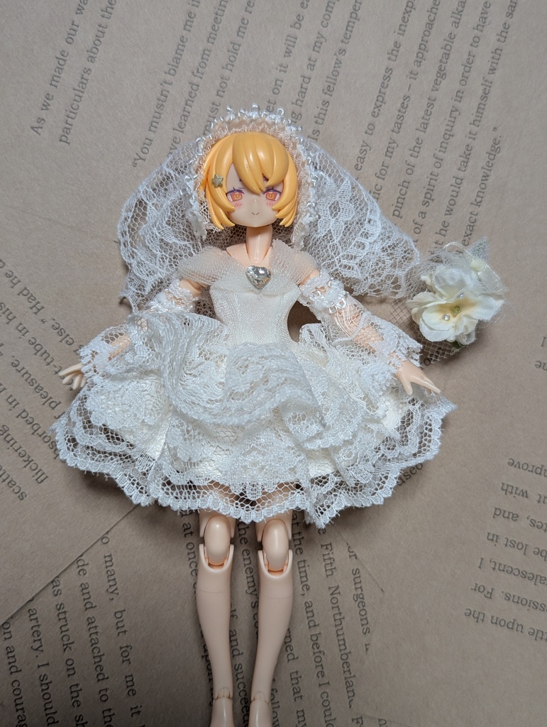 1点物 ウェディングドレスセット 美プラ 布服