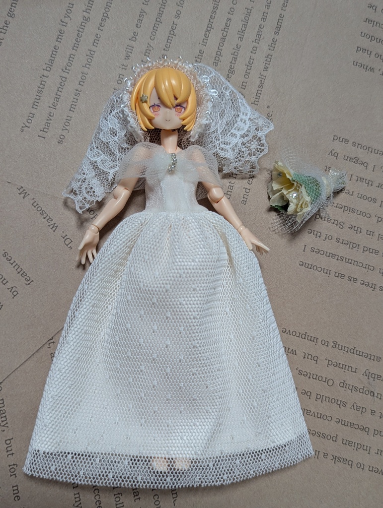１点物　ウェディングドレスセット　美プラ　布服