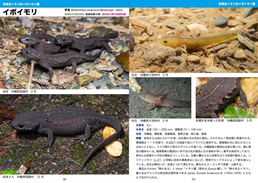 増補改訂版 琉球の爬虫両生類図鑑 沖縄諸島編