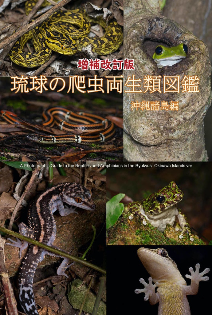 増補改訂版 琉球の爬虫両生類図鑑 沖縄諸島編 琉球列島中毒 Booth