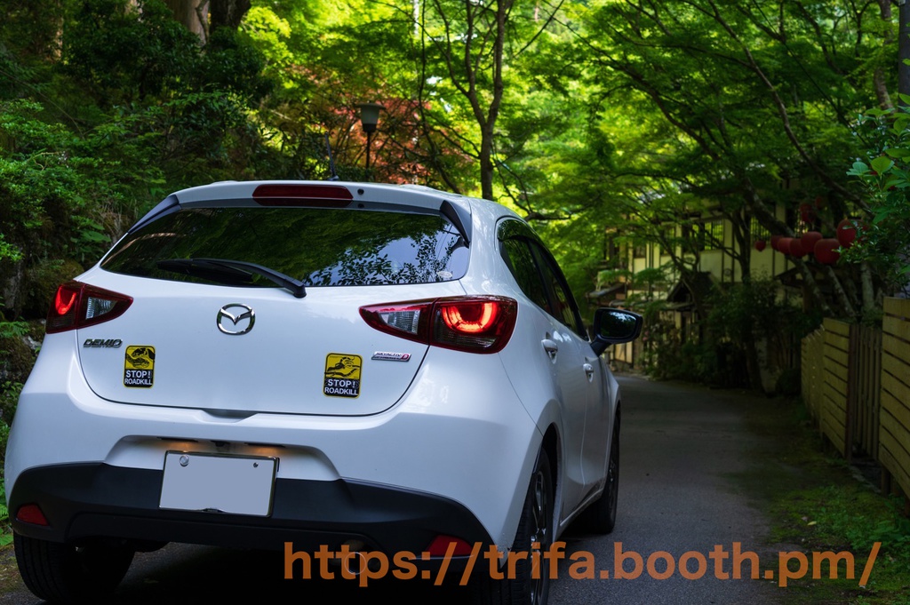 ガラスヒバァ・クロイワトカゲモドキ ストップロードキルステッカー