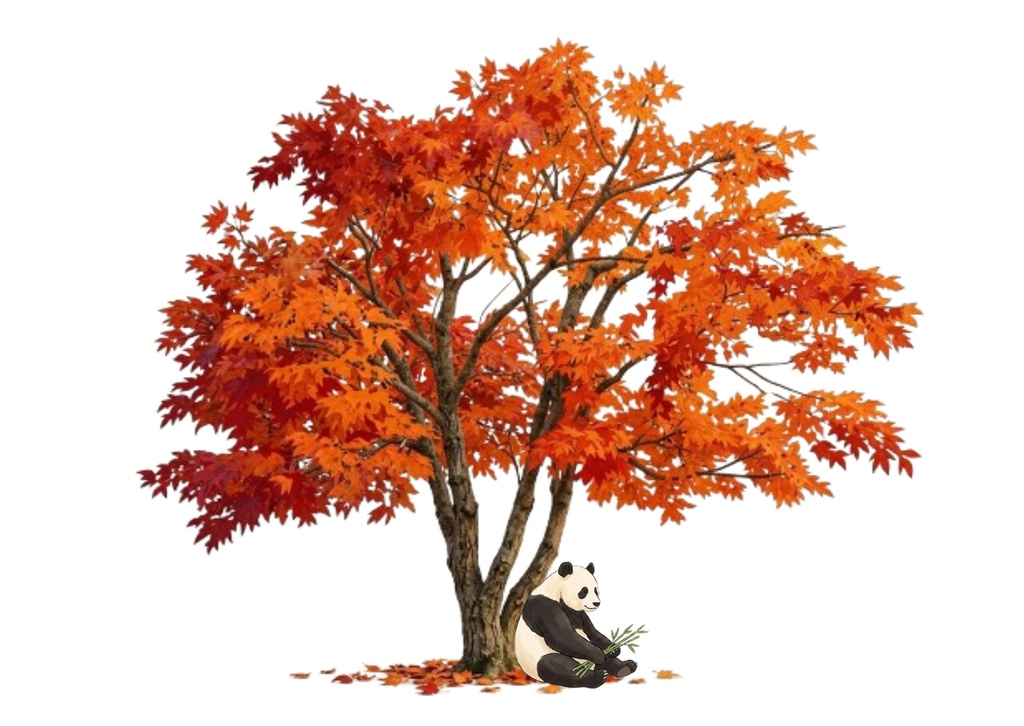 秋のパンダ|紅葉と秋の風景 デジタルポストカード 7枚セット