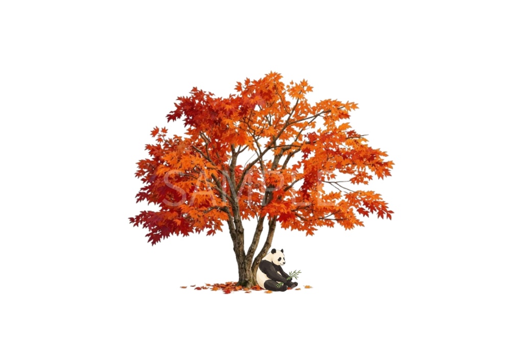 秋のパンダ|紅葉と秋の風景 デジタルポストカード 7枚セット