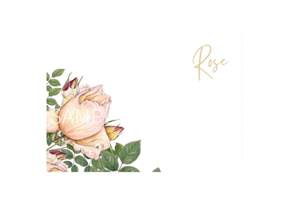 Rose Botanical Art – 7 Postcard Designs