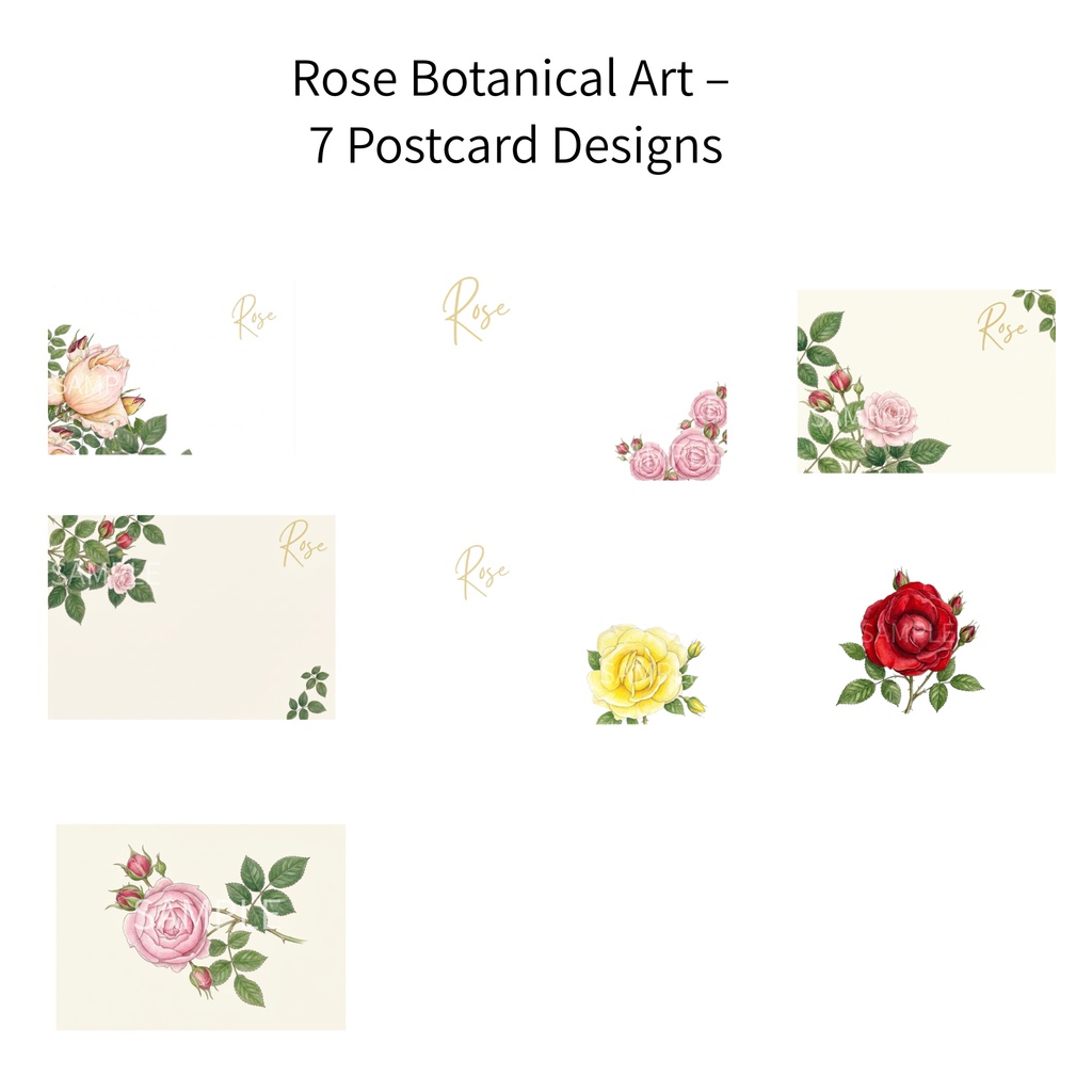 Rose Botanical Art – 7 Postcard Designs