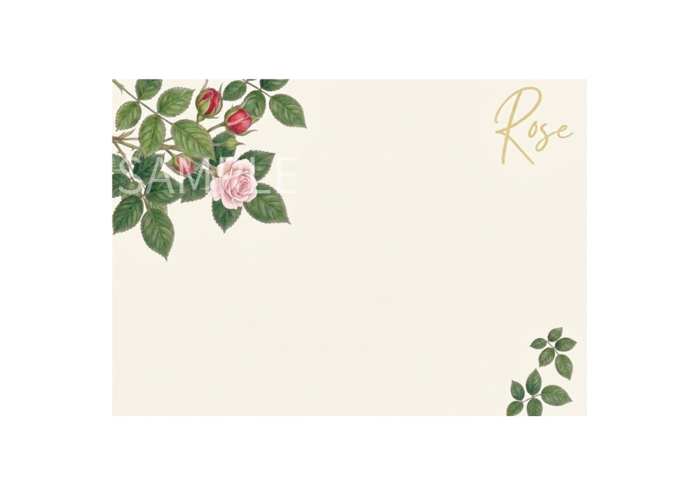 Rose Botanical Art – 7 Postcard Designs