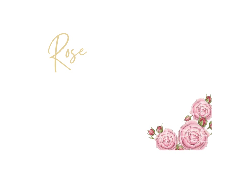 Rose Botanical Art – 7 Postcard Designs