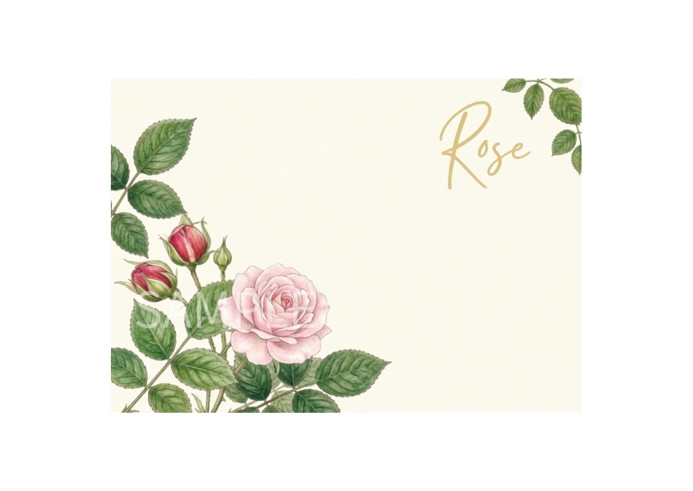 Rose Botanical Art – 7 Postcard Designs