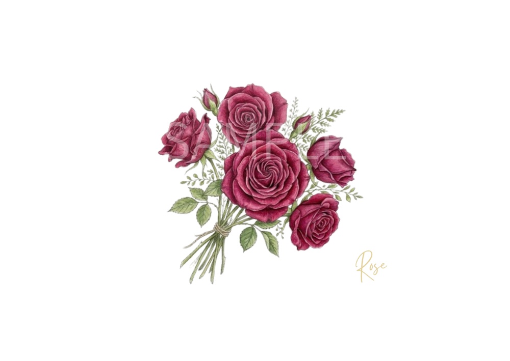 Rose Botanical Art – 7 Postcard Designs