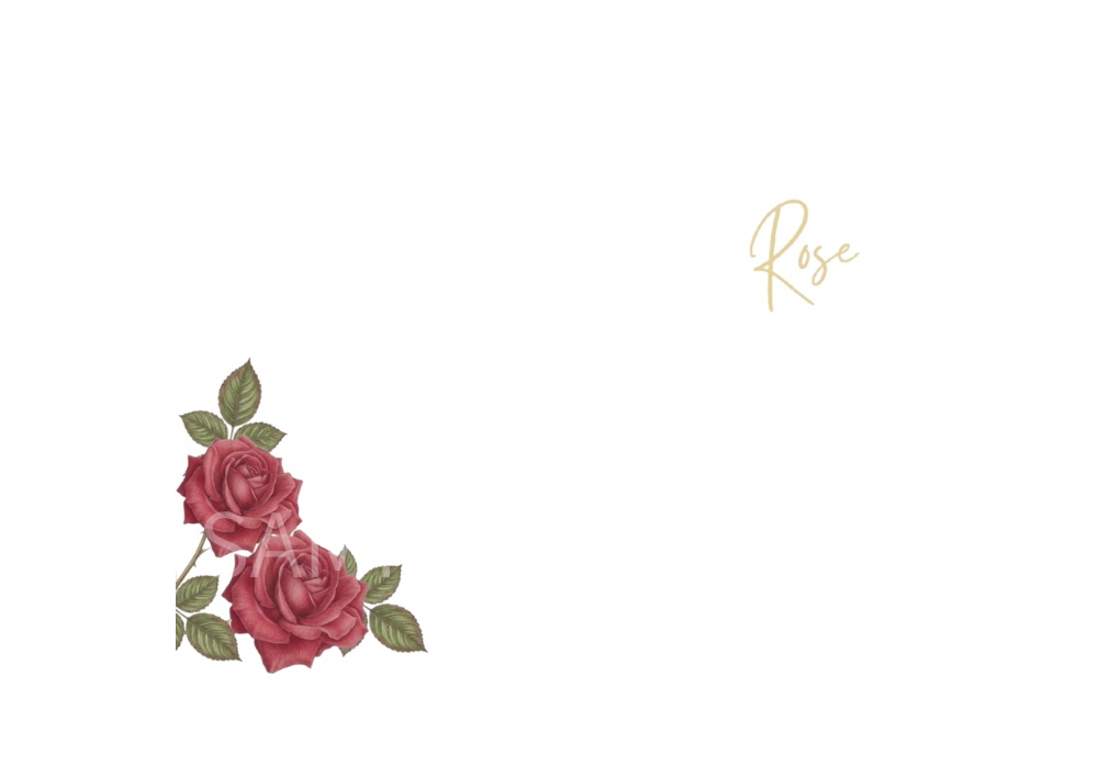 Rose Botanical Art – 7 Postcard Designs