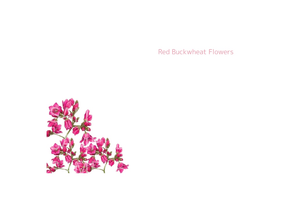 Botanical Flowers – 7 Postcard Designs