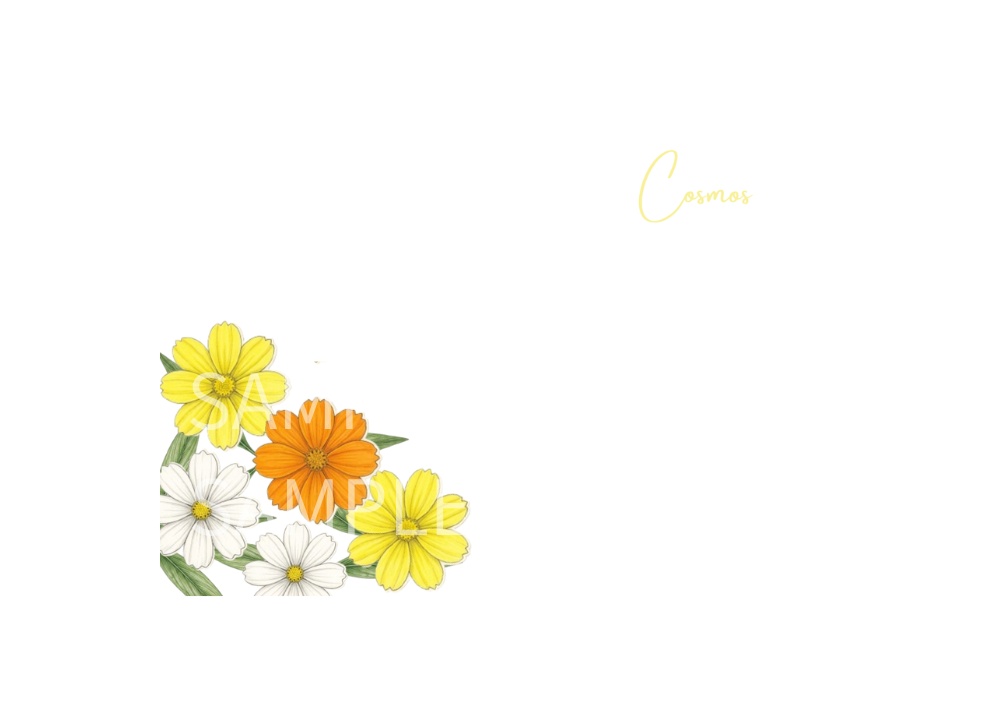 Botanical Flowers – 7 Postcard Designs