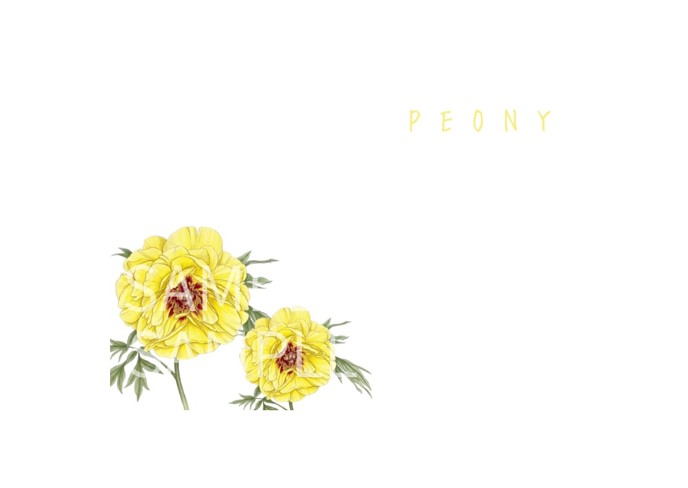 Botanical Flowers – 7 Postcard Designs