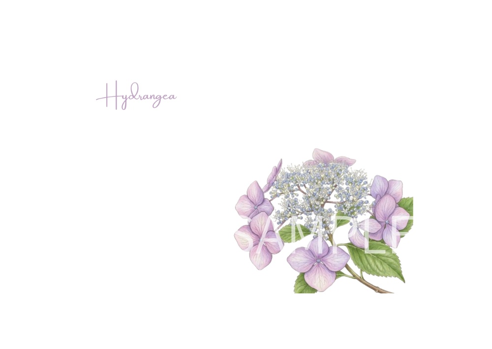 Botanical Flowers – 7 Postcard Designs