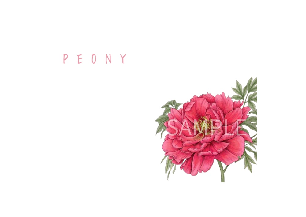 Botanical Flowers – 7 Postcard Designs