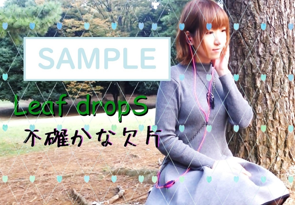 不確かな欠片