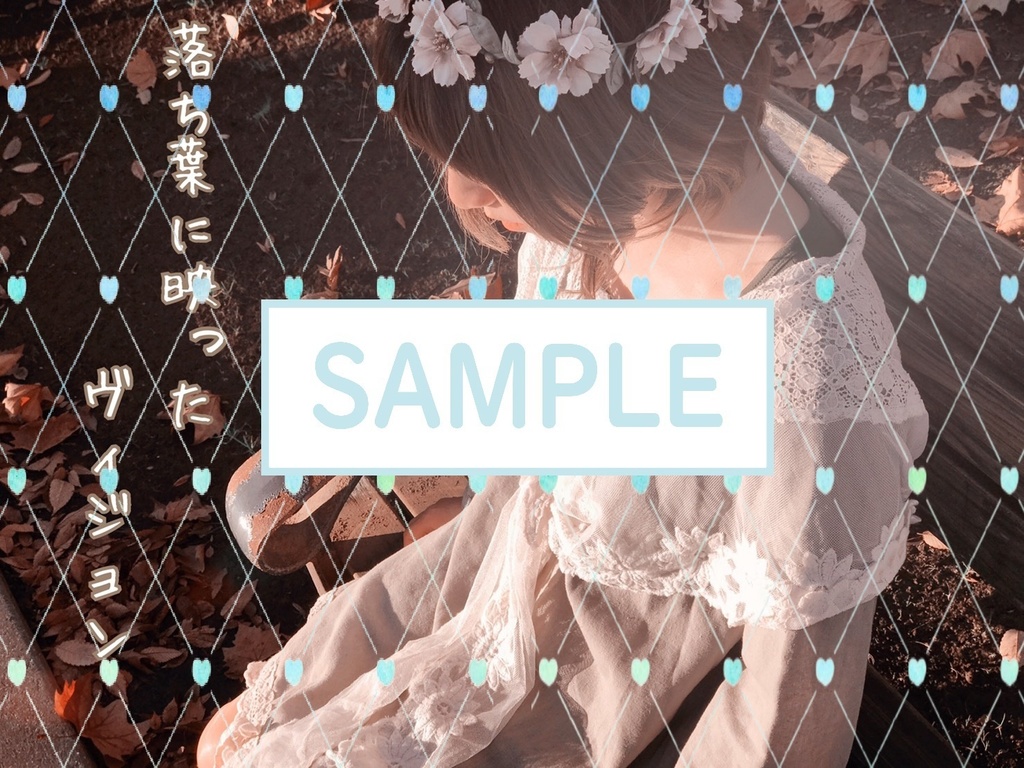 落ち葉に映ったヴィジョン