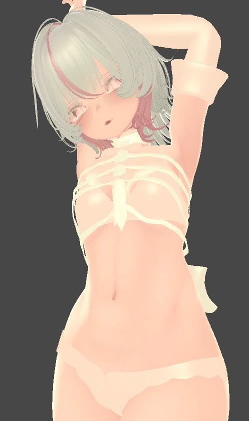 【♡Faded Angel♡】 Ribbon Corset