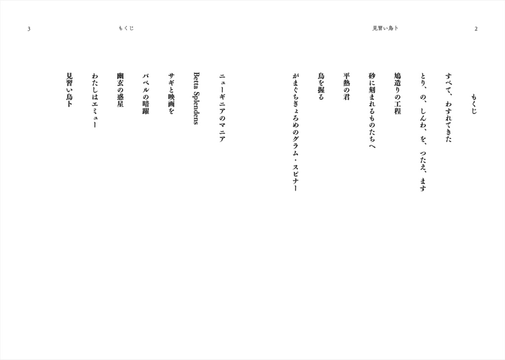 見習い鳥卜 藤井佯短編集