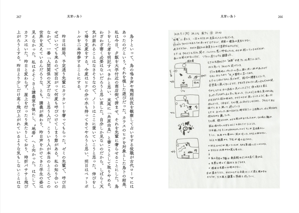 見習い鳥卜 藤井佯短編集