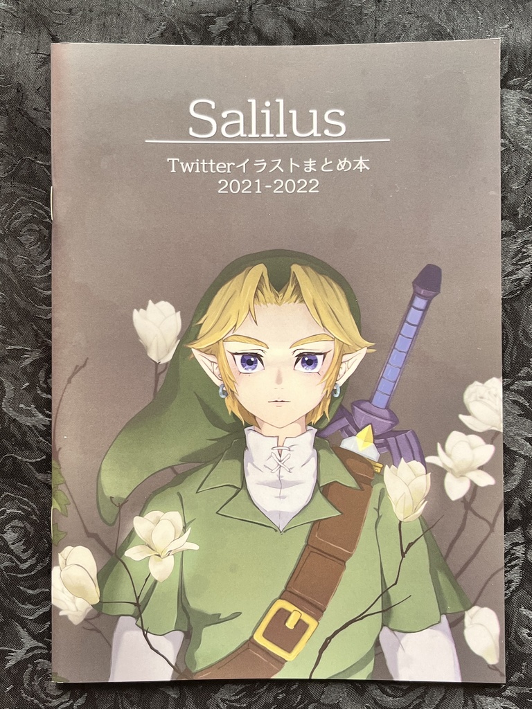 ゼルダの伝説イラスト集Salilus