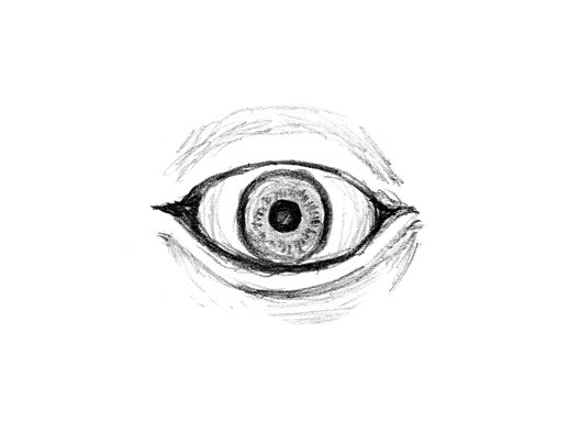 「STRAY SKETCH」絵画14種ポストカードセット