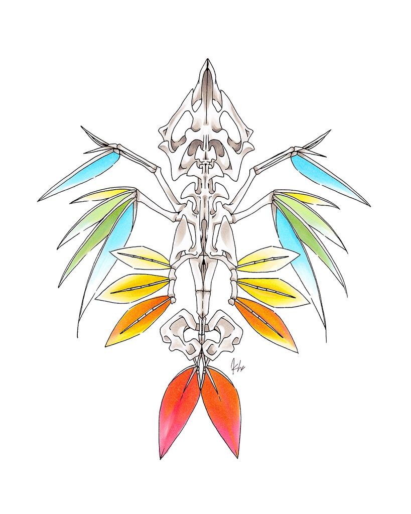 【Tシャツ】「BEYOND THE SKY」【2025年9月個展】